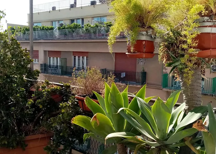 Ariston Petit Palermo