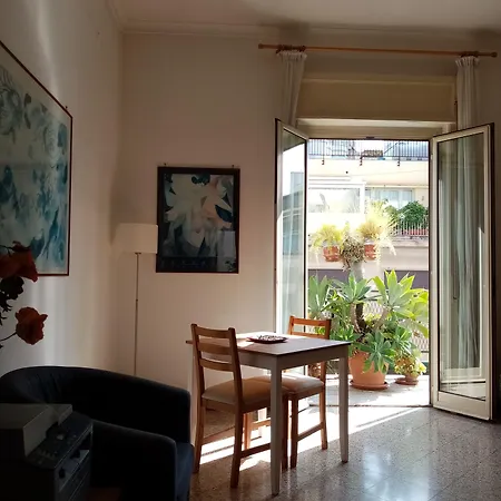 Ariston Petit Palermo