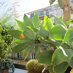 Ariston Petit Hotel